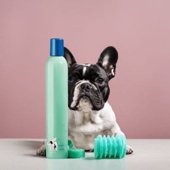 Best Shampoos for Shedding French Bulldogs