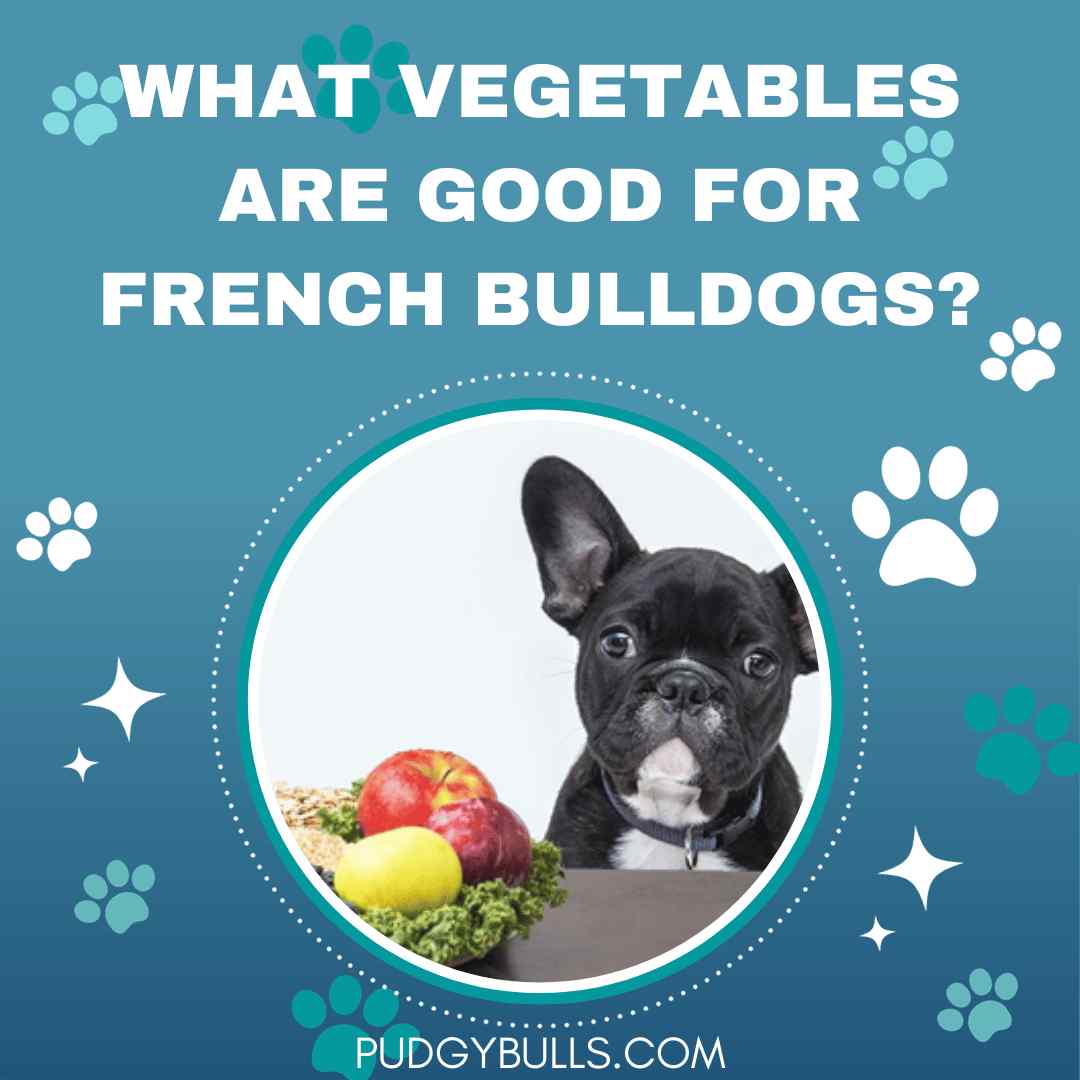 What Vegetables Are Good for French Bulldogs?