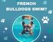 Why Can’t French Bulldogs Swim? Challenges & Alternatives